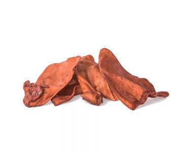 Kundenbild klein 2 Ebhardt Lucas funnypets Kundenbild klein 2 Ebhardt Lucas funnypets