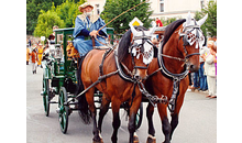 Kundenbild groß 1 König Pension