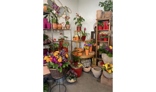 Kundenbild groß 7 Schöner Schenken Inh. Susanne Lother - Blumen und Geschenkartikel
