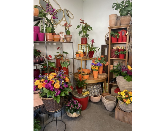 Kundenfoto 7 Schöner Schenken Inh. Susanne Lother - Blumen und Geschenkartikel
