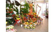 Kundenbild groß 3 Blumen Sieber Hochzeitshaus Stefan Blumen-Sieber