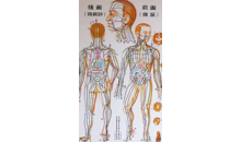 Kundenbild groß 21 Kirsten Hesse Praxis für Shiatsu