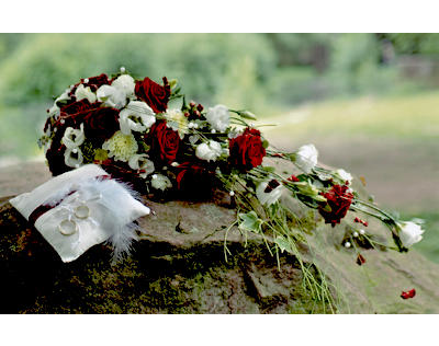 Kundenfoto 1 Der Blumenladen D. Rahm