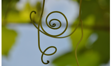 Kundenbild groß 13 Kirsten Hesse Praxis für Shiatsu