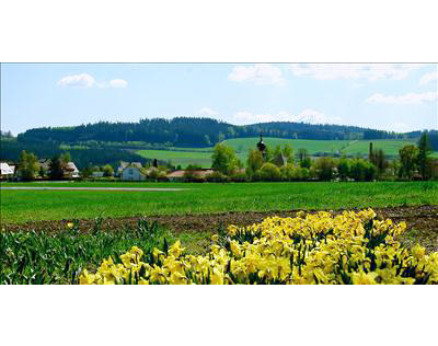 Kundenfoto 4 Verwaltungsgemeinschaft Krummennaab