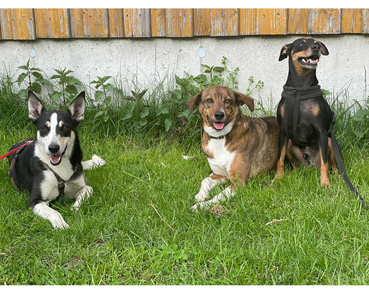 Kundenfoto 2 Kreyßig Teresa