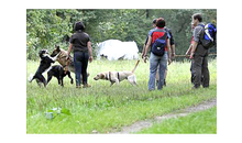 Kundenbild groß 1 George Romy Hundeschule