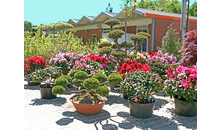 Kundenbild groß 1 Kohout's Garten- u. Landschaftsbau GmbH