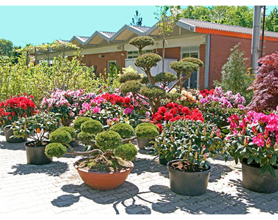 Kundenfoto 1 Kohout's Garten- u. Landschaftsbau GmbH