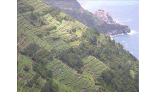 Kundenbild groß 2 Enoteca Italiana