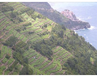 Kundenfoto 2 Enoteca Italiana