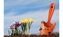 Kundenbild groß 1 Gartenbau Starke