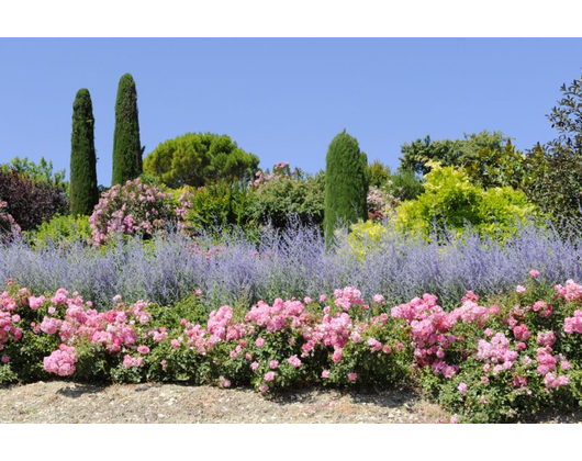 Kundenfoto 6 Schmitt Garten- und Landschaftsbau