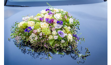 Kundenbild groß 5 Wimmer Simone