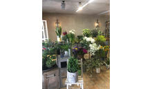 Kundenbild groß 3 Blumen Vulpius
