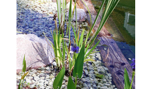 Kundenbild groß 4 Stollberger Garten und Landschaftsbau