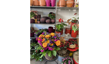Kundenbild groß 6 Schöner Schenken Inh. Susanne Lother - Blumen und Geschenkartikel