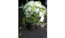 Kundenbild groß 2 Blumen ambiente & floristik Klotzsche