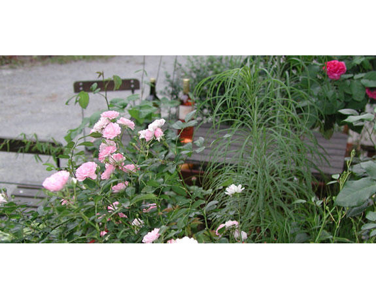 Kundenfoto 7 Schramm Roland Dipl.-Ing. (FH) Gartenbau GRUEN & MEHR u. Planungsbüro f. Freianlagen