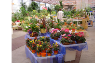 Kundenbild groß 4 Gartenbau GmbH Chemnitzer Blumenring