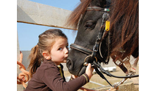 Kundenbild groß 2 Dietrich Nicole Therapiezentrum für Pferde