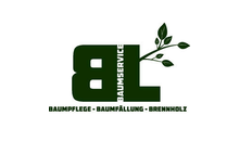 Kundenbild groß 1 Lang Benjamin Baumservice Lang