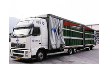 Kundenbild groß 2 Ewals Cargo Care GmbH