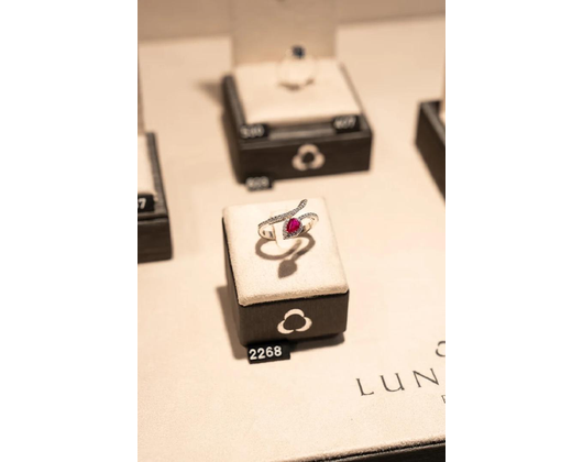 Kundenfoto 9 Lang Peter