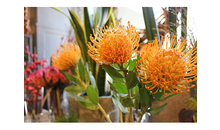 Kundenbild groß 4 Blumen Betty Brix some Flowers