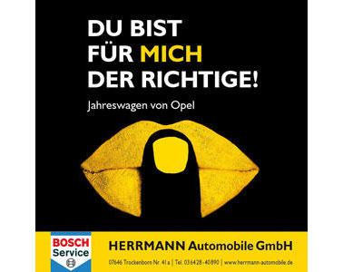 Kundenfoto 4 Autohaus Hermann Automobile GmbH