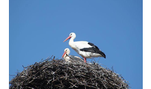 Kundenbild groß 4 Gemeinde Nienhagen