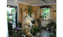 Kundenbild groß 7 Ritschel-Blumen-Floristik Inh. Ritschel Heike