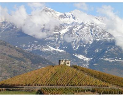 Kundenfoto 6 Enoteca Italiana