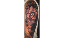 Kundenbild groß 5 Scholten Dirk