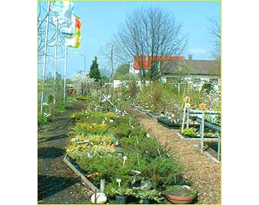 Kundenfoto 6 Gartengestaltung Gast