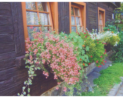 Kundenfoto 2 Hempel Helga, Pension Vogtland mit Herz