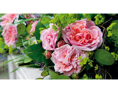 Kundenfoto 1 Blumen und Florales Zetzschke Blumenfachgeschäft