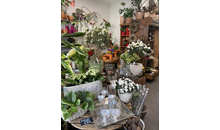 Kundenbild groß 5 Schöner Schenken Inh. Susanne Lother - Blumen und Geschenkartikel