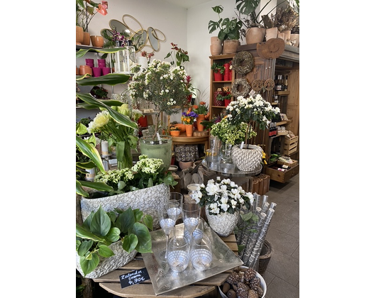 Kundenfoto 5 Schöner Schenken Inh. Susanne Lother - Blumen und Geschenkartikel