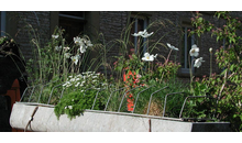 Kundenbild groß 3 Schramm Roland Dipl.-Ing. (FH) Gartenbau GRUEN & MEHR u. Planungsbüro f. Freianlagen