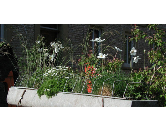 Kundenfoto 3 Schramm Roland Dipl.-Ing. (FH) Gartenbau GRUEN & MEHR u. Planungsbüro f. Freianlagen