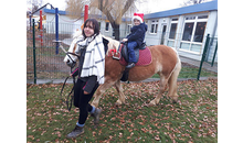 Kundenbild groß 1 Hockwin Silvia Reittouristik