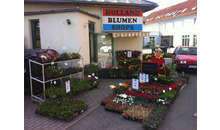 Kundenbild groß 5 Holland Blumen Shops