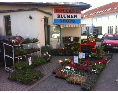 Kundenfoto 5 Holland Blumen Shops