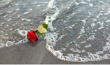 Kundenbild groß 2 Bestattungshaus Martin Becker