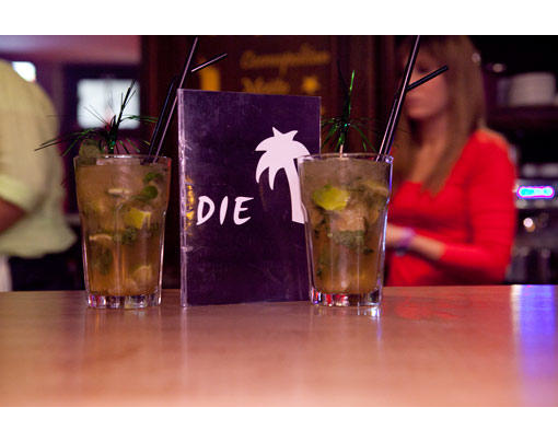 Kundenfoto 7 Die Palme