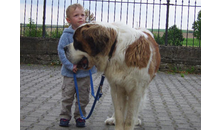 Kundenbild groß 1 Hundeschule Möller