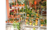 Kundenbild groß 3 Chemnitzer Blumenring Einzelhandelsgesellschaft mbH