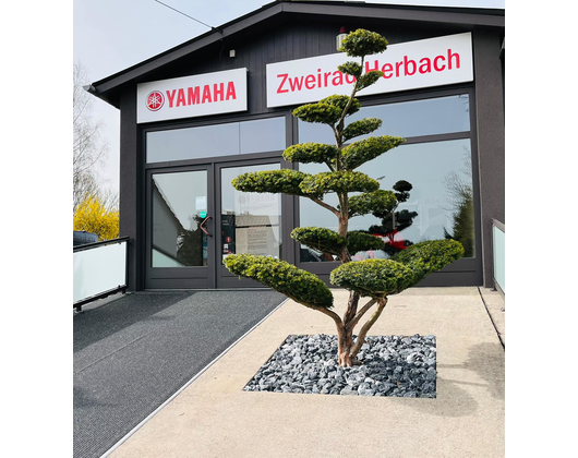 Kundenfoto 10 Zweirad Center Herbach