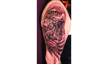 Kundenbild groß 4 Scholten Dirk